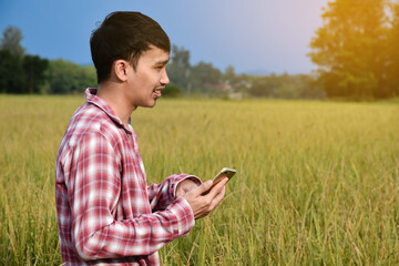 Naklejka na ściany i meble Portrait of young asian boy holds smart phone, standing in middle area of rice paddy farmland to give growing information, soft focus.