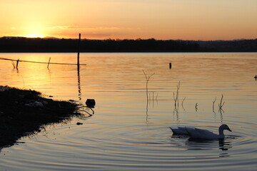 Lago con atardecer en el horizonte
