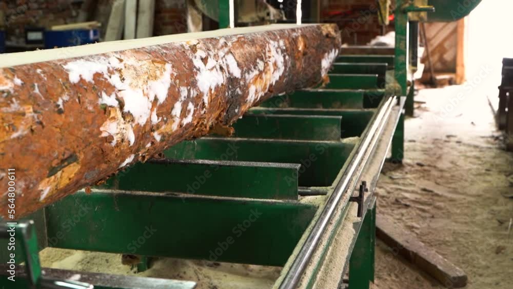 Poster snow covered pine tree log on the saw in sawmill for processing into planks