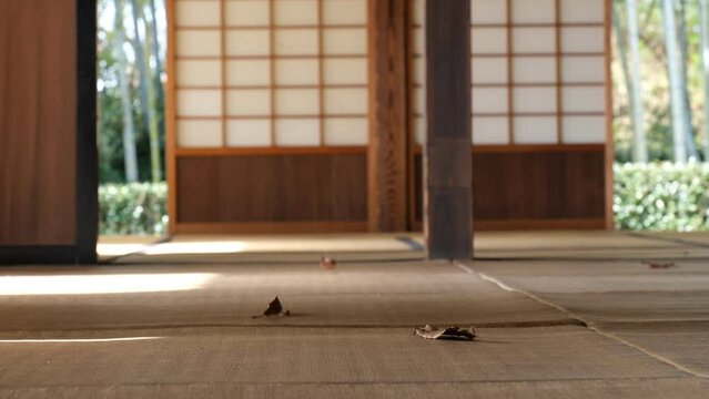 畳の落葉