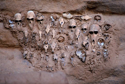 Skulls in the mud at a fetish alter, animist shrine at Kondu Guma, Mali