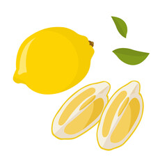 fresh lemon and its pieces