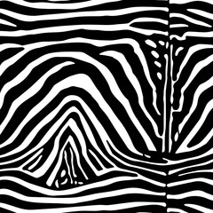 Illustration zebra fur, zebra skin.