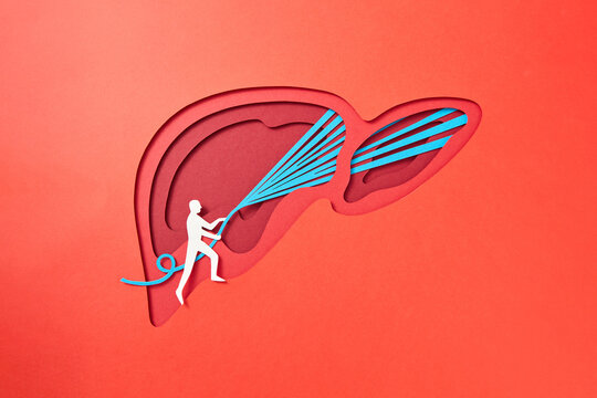 Paper liver with firefighter sprinkling water.