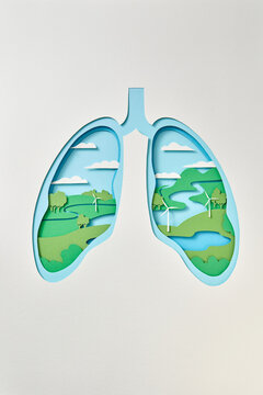 Layered paper lungs with green landscape.