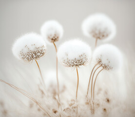 white cottongrass flower in the snow, Generative AI