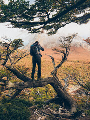 backpacker person in the forest