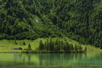 Mountain with the forest by the lake