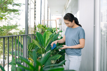 Concept plant care, gardening, housewife and housework chores