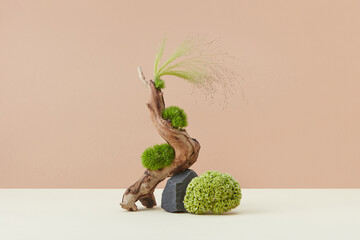 Organic showcase with natural elements.