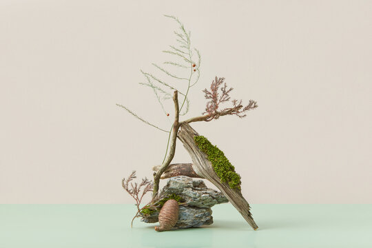 Showcase with natural wood, stone and plants.