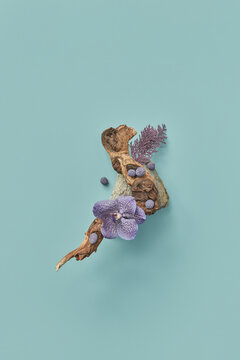 Organic showcase with wood and orchid flower.