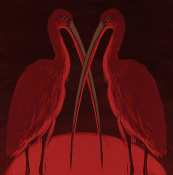 Meeting X: Scarlet Ibises with the Longest Beaks