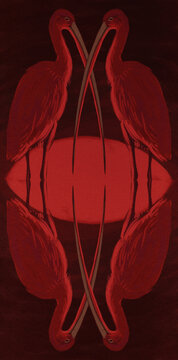 Fierce and Foremost: Scarlet ibises with the Longest Beaks