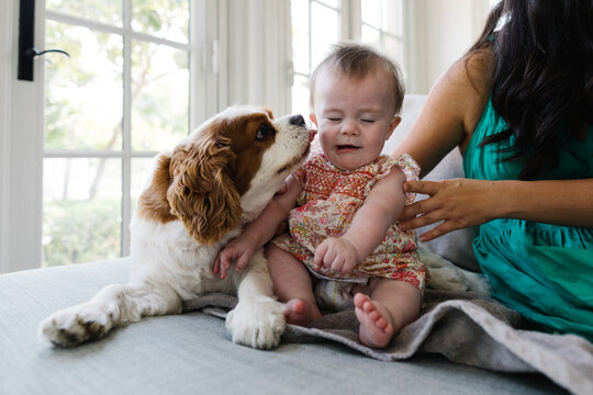 A baby girl with a dog