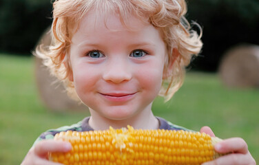 Young caucasian 4-year old child with curly hair eats corn off of the cob and smiling