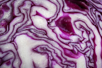 Half of fresh red cabbage as background, closeup