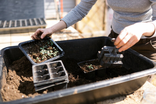 Farm worker making soil blocks for seeds with a handheld soil blocker