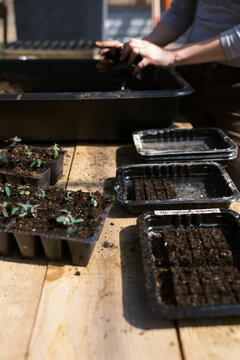 Farm worker making soil blocks for seeds with a handheld soil blocker