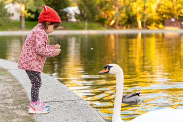Kids feeding park ducks in autumn