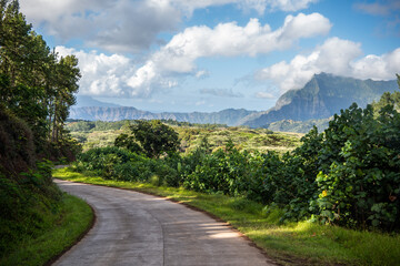 Fototapeta na wymiar A road in the middle of mountains in Hiva Oa, Marquesas Islands, French Polynesia.