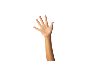 Hand isolated on white background, clipping path