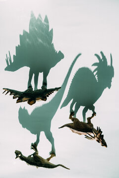 Toy figures of dinosaurs and their shadows.