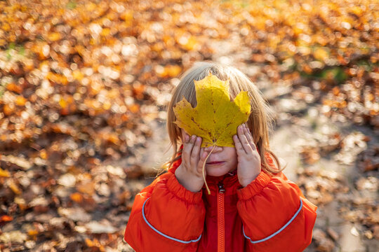 autumn play 