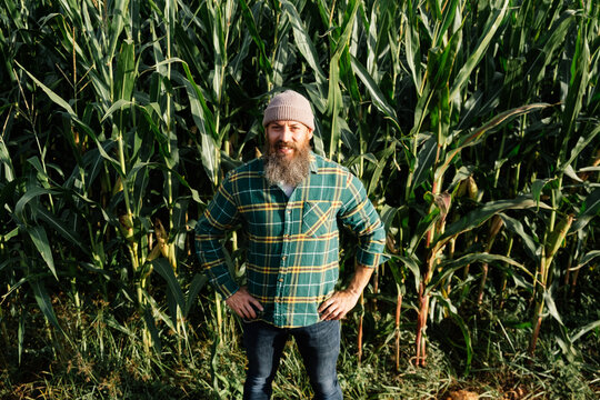 bearded man in cornfield