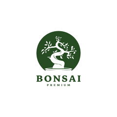 mini small plant on pot for japanese bonsai logo design 2