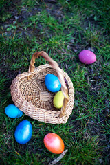 Fototapeta na wymiar Basket of Easter eggs on the grass. Children scattered Find after picking on Easter Day. Easter egg hunt concept