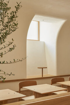 Lumber chairs and tables near potted tree