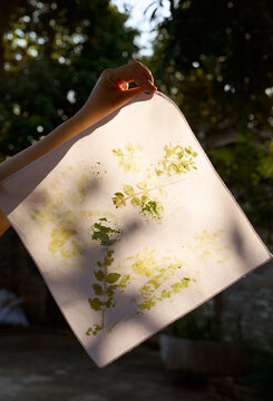 Closeup handkerchief ,in the sunlight
