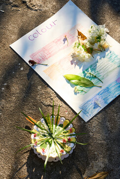 Beautiful Botanical Decorative Plates and Botanical Color Cards