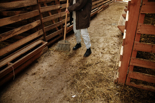 The farmer cleans the stall on the farm