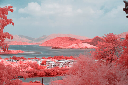 Infrared photography of  mountain and plants by sea