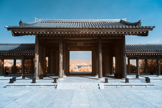 Infrared photography of  traditional Chinese door and landscape.