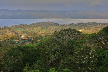 Obraz premium Picture from rainforest, Costa Rica. Travel in Central America. San Jose.