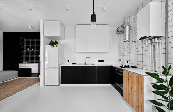 Minimalist interior of modern kitchen