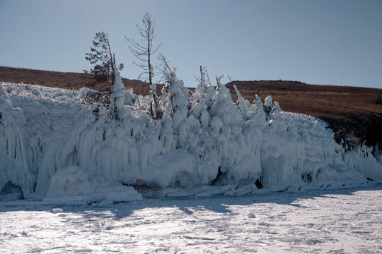 Frozen trees