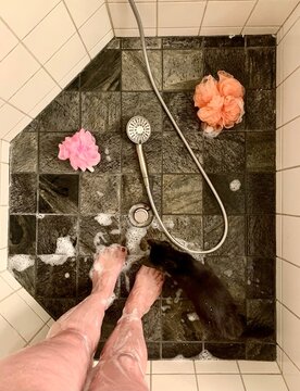 Cat disrupting human shower.