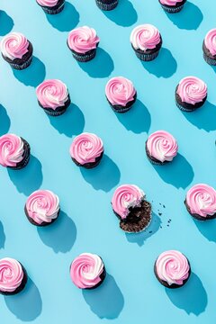 Chocolate Cupcakes with Pink Frosting with Bite Taken Out