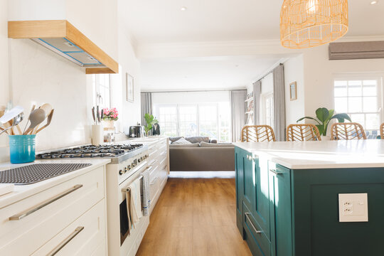 General view of luxury kitchen with countertop and kitchen equipment