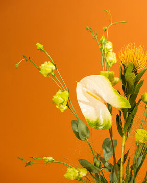 Bold and vivid flowers on orange background