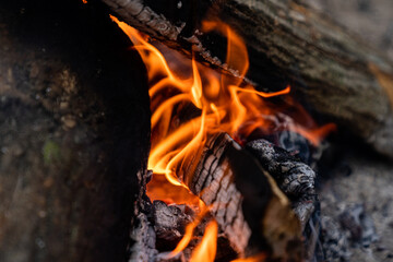 close up of burning firewood