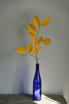 blue bottle with yellow leaves




