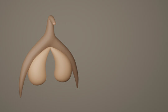 Clitoris