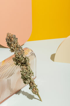 Cannabis cola on colorful background
