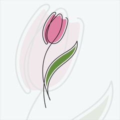Continuous line hand-drawn vector flower tulip concept floral design in minimal style.