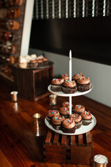 Chocolate Cupcakes with Sprinkles on Tray on Wooden Table